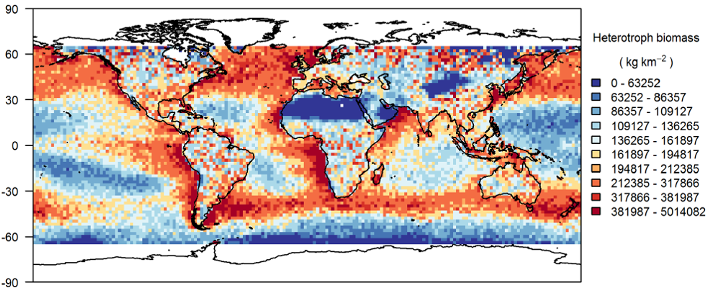 Map of predicted animal biomass