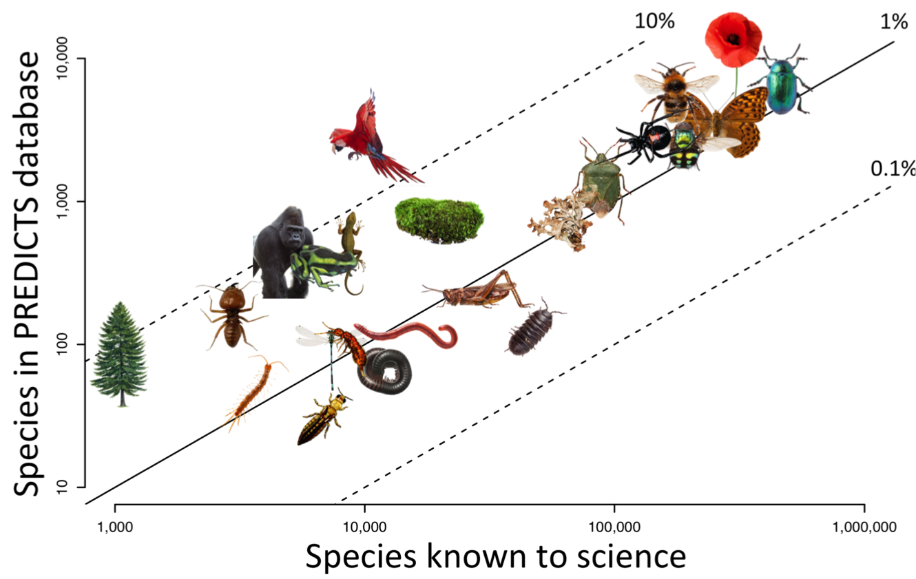 Taxonomic representativeness of predicts data